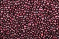 Alubia tolosana roja