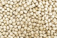 Garbanzo blanco