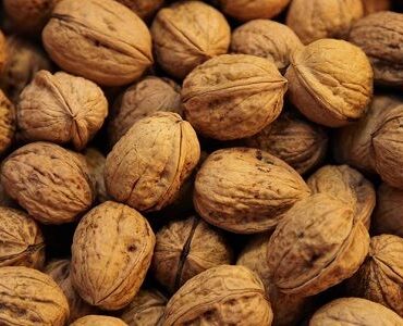 Nueces